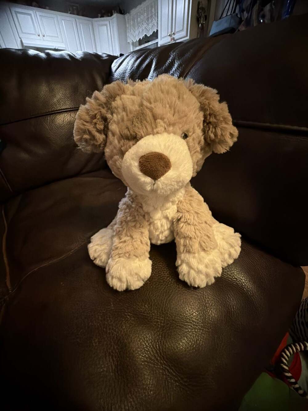 Mary Meyer Putty Frisky Puppy 7" Plush Dog Stuffed Animal Toy Sitting